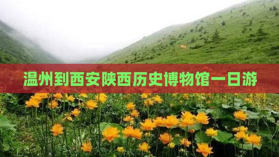 温州到西安陕西历史博物馆一日游