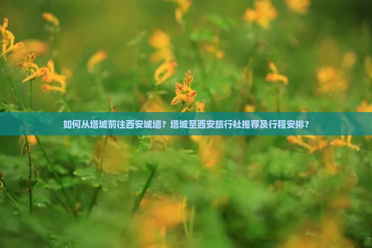 如何从塔城前往西安城墙？塔城至西安旅行社推荐及行程安排？