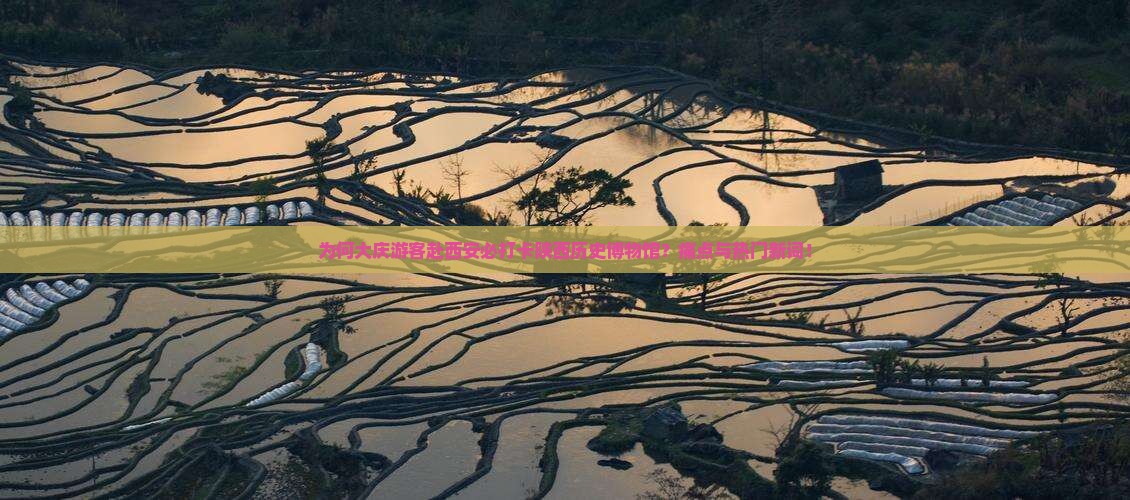 为何大庆游客赴西安必打卡陕西历史博物馆？痛点与热门新词！