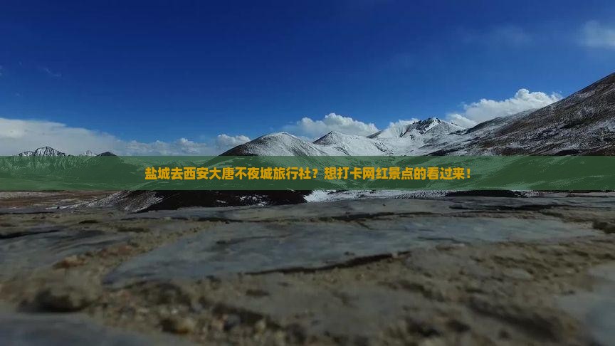 盐城去西安大唐不夜城旅行社？想打卡网红景点的看过来！