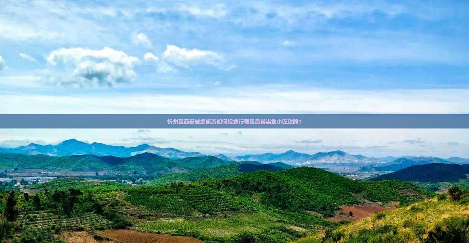 忻州至西安城墙旅游如何规划行程及品尝当地小吃攻略？