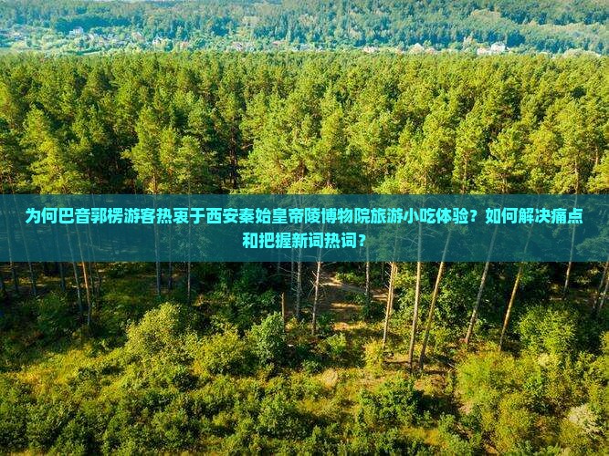 为何巴音郭楞游客热衷于西安秦始皇帝陵博物院旅游小吃体验？如何解决痛点和把握新词热词？