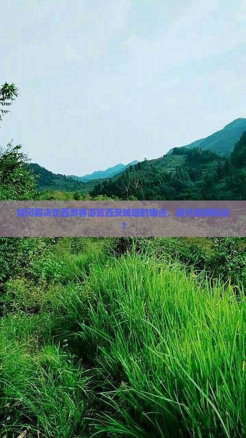 如何解决定西游客游览西安城墙的痛点，提升旅游体验？