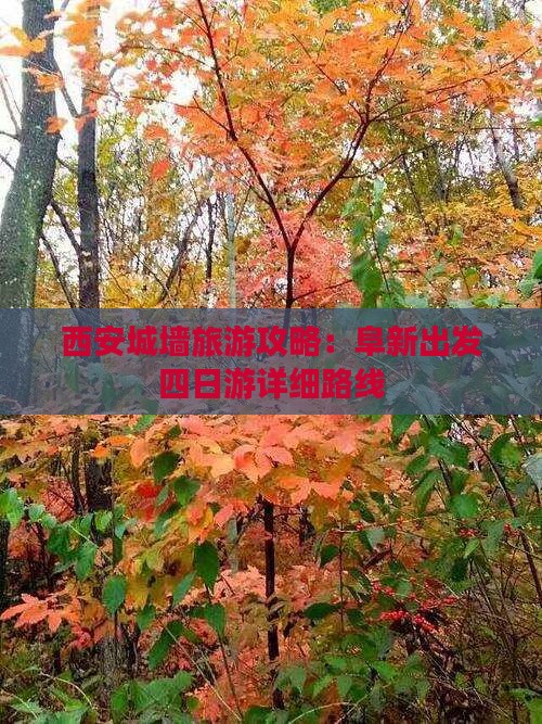 西安城墙旅游攻略：阜新出发四日游详细路线