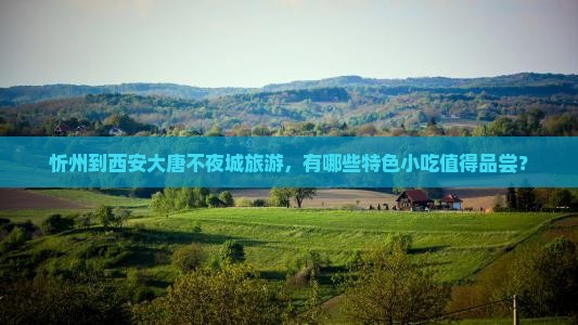 忻州到西安大唐不夜城旅游，有哪些特色小吃值得品尝？