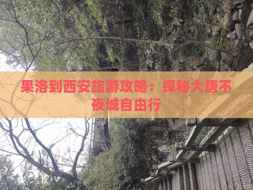 果洛到西安旅游攻略：探秘大唐不夜城自由行