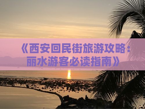 《西安回民街旅游攻略：丽水游客必读指南》