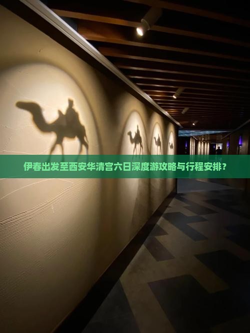 伊春出发至西安华清宫六日深度游攻略与行程安排？