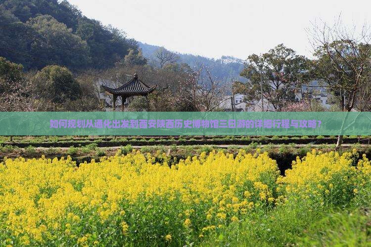 如何规划从通化出发到西安陕西历史博物馆三日游的详细行程与攻略？