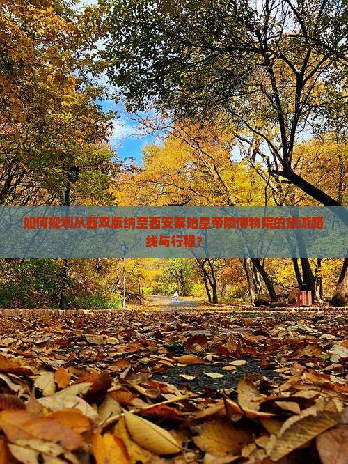 如何规划从西双版纳至西安秦始皇帝陵博物院的旅游路线与行程？