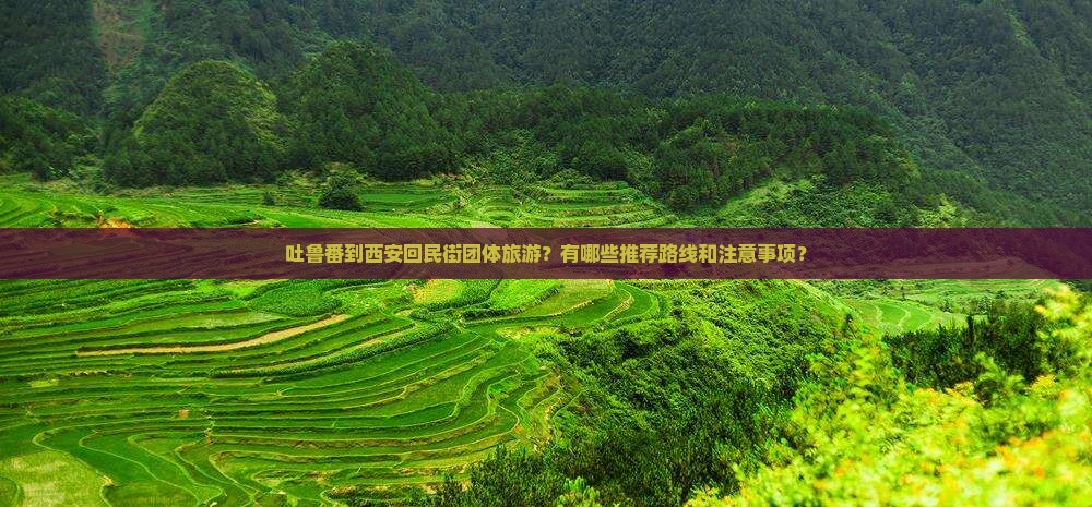 吐鲁番到西安回民街团体旅游？有哪些推荐路线和注意事项？