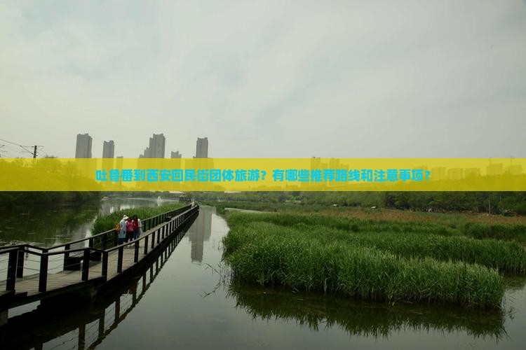 吐鲁番到西安回民街团体旅游？有哪些推荐路线和注意事项？