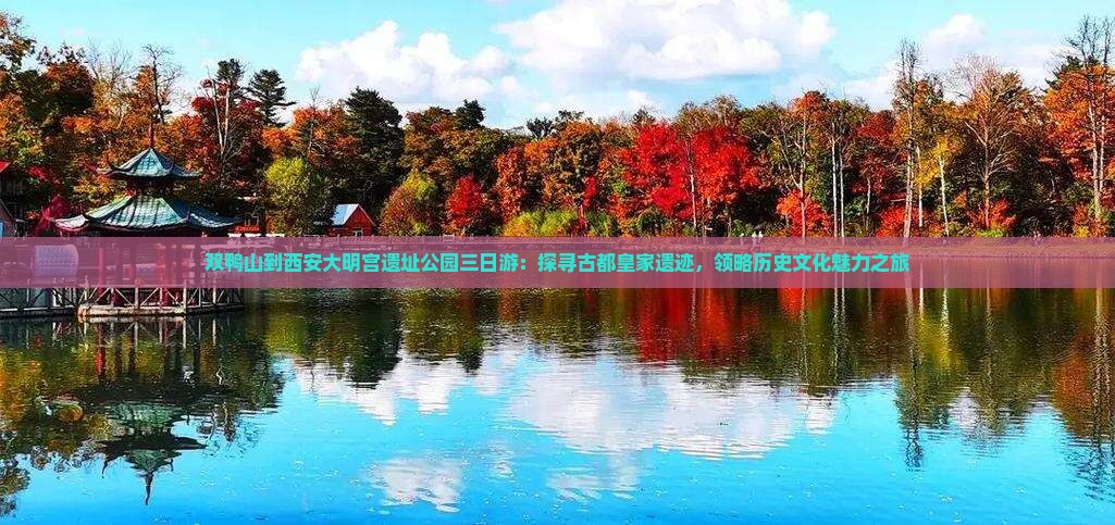 双鸭山到西安大明宫遗址公园三日游：探寻古都皇家遗迹，领略历史文化魅力之旅