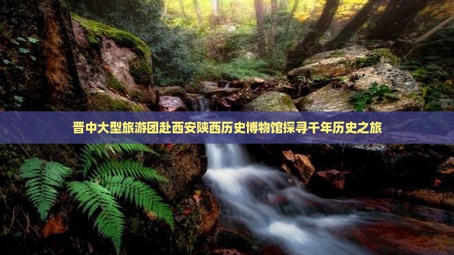 晋中大型旅游团赴西安陕西历史博物馆探寻千年历史之旅