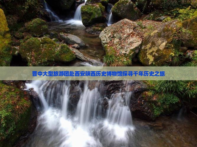 晋中大型旅游团赴西安陕西历史博物馆探寻千年历史之旅