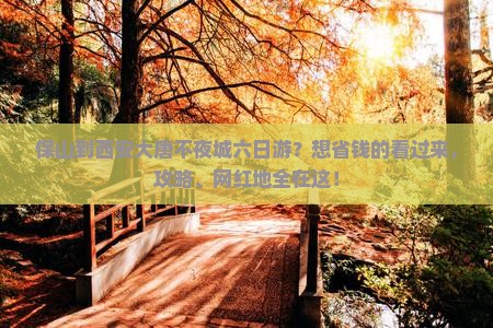 保山到西安大唐不夜城六日游？想省钱的看过来，攻略、网红地全在这！