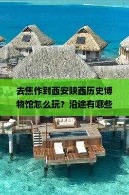去焦作到西安陕西历史博物馆怎么玩？沿途有哪些景点值得打卡？