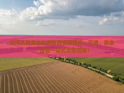 如何从雅安出发游览西安回民街：交通、美食、住宿一站式攻略指南？