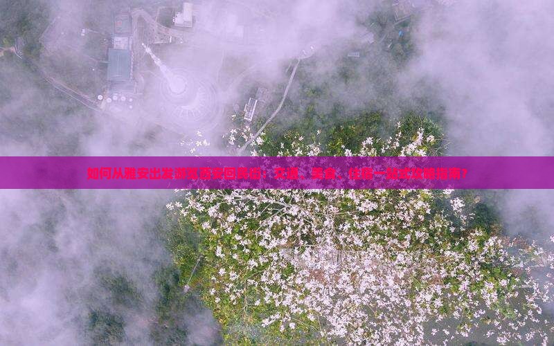 如何从雅安出发游览西安回民街：交通、美食、住宿一站式攻略指南？