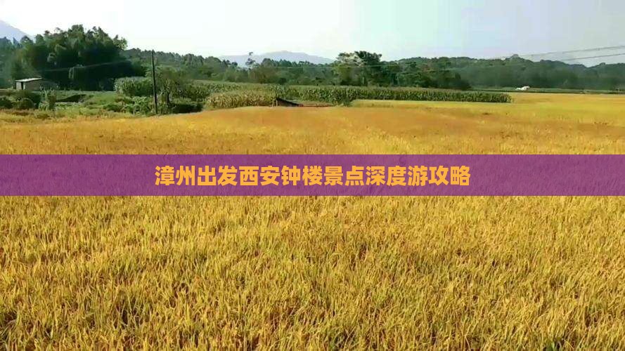 漳州出发西安钟楼景点深度游攻略