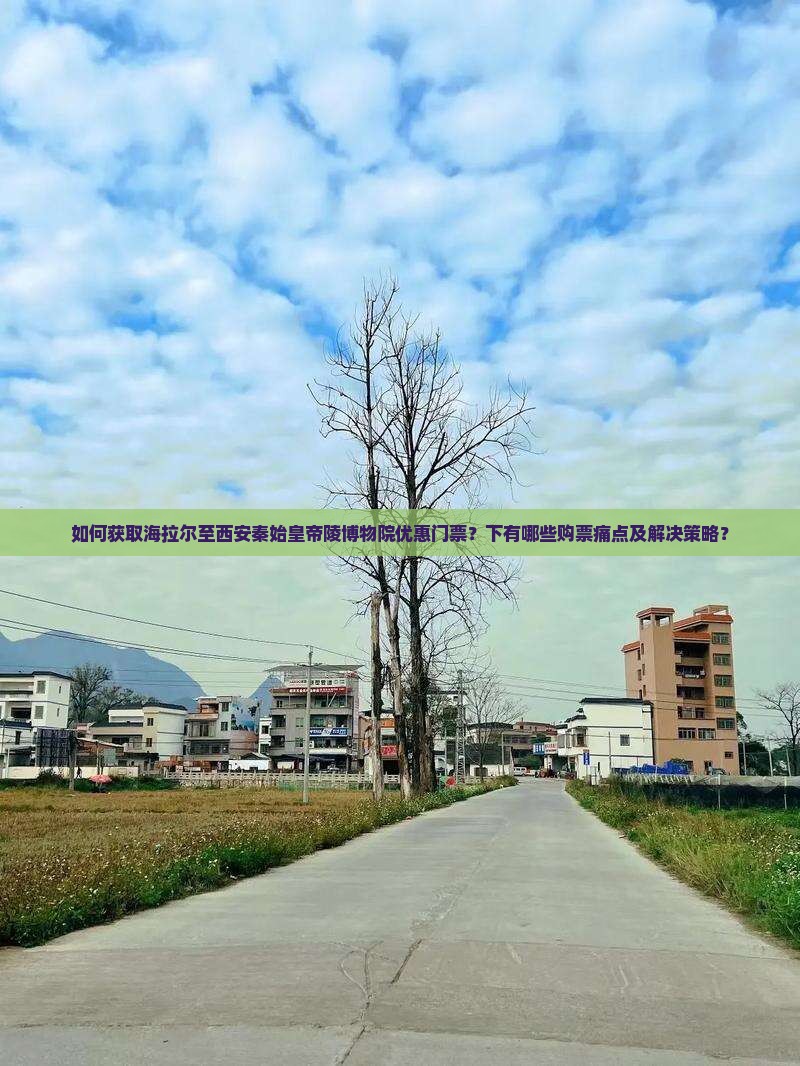 如何获取海拉尔至西安秦始皇帝陵博物院优惠门票？下有哪些购票痛点及解决策略？
