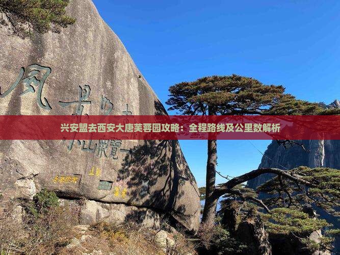 兴安盟去西安大唐芙蓉园攻略：全程路线及公里数解析
