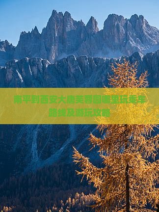 南平到西安大唐芙蓉园哪里玩乘车路线及游玩攻略