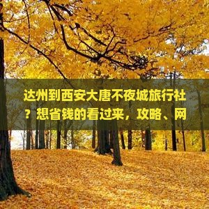 达州到西安大唐不夜城旅行社？想省钱的看过来，攻略、网红打卡地一网打尽