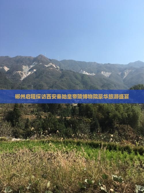 郴州启程探访西安秦始皇帝陵博物院豪华旅游盛宴