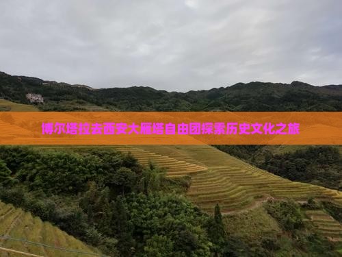 博尔塔拉去西安大雁塔自由团探索历史文化之旅