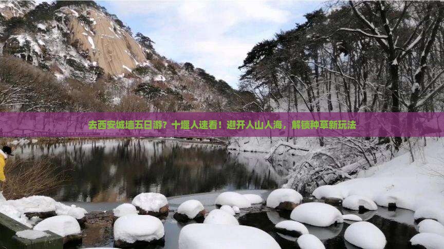去西安城墙五日游？十堰人速看！避开人山人海，解锁种草新玩法