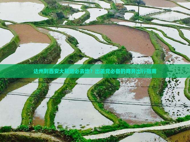 达州到西安大雁塔必去地？出差党必备的商务出行指南