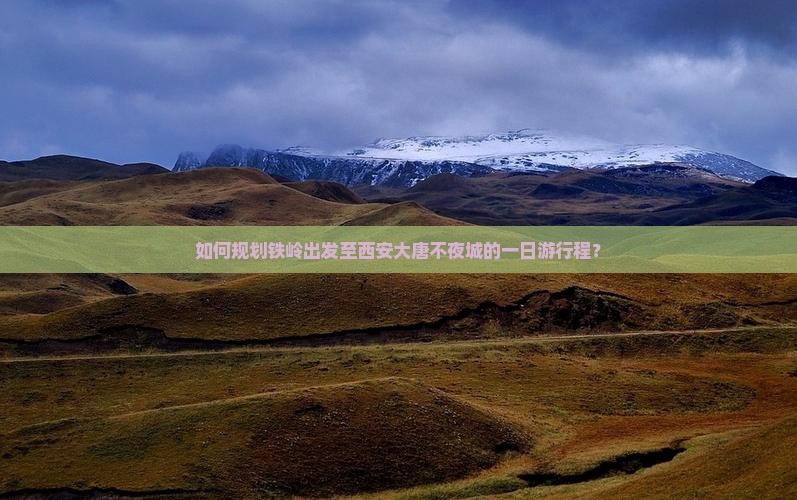 如何规划铁岭出发至西安大唐不夜城的一日游行程？
