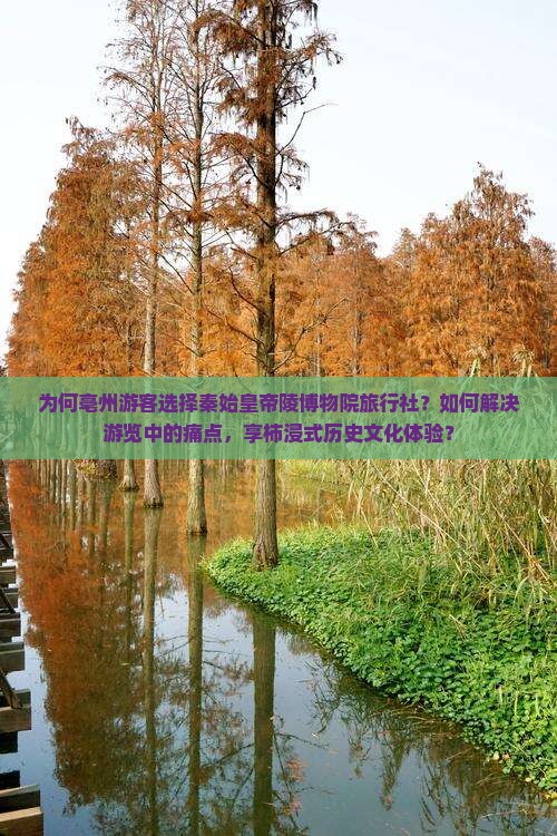 为何亳州游客选择秦始皇帝陵博物院旅行社？如何解决游览中的痛点，享柿浸式历史文化体验？
