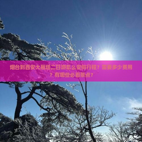 烟台到西安大雁塔二日游怎么安排行程？需要多少费用？有哪些必看景点？