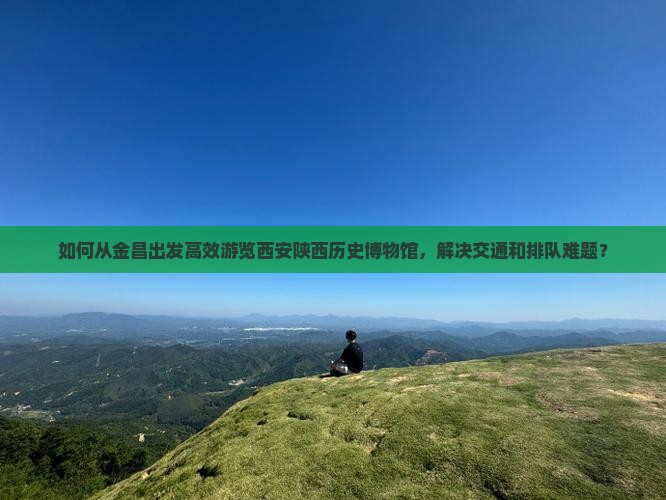 如何从金昌出发高效游览西安陕西历史博物馆，解决交通和排队难题？