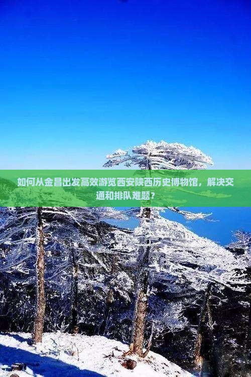 如何从金昌出发高效游览西安陕西历史博物馆，解决交通和排队难题？