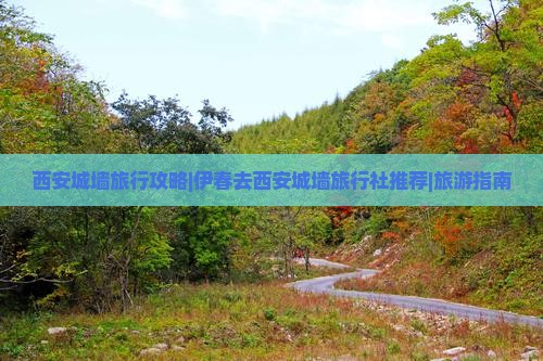 西安城墙旅行攻略|伊春去西安城墙旅行社推荐|旅游指南