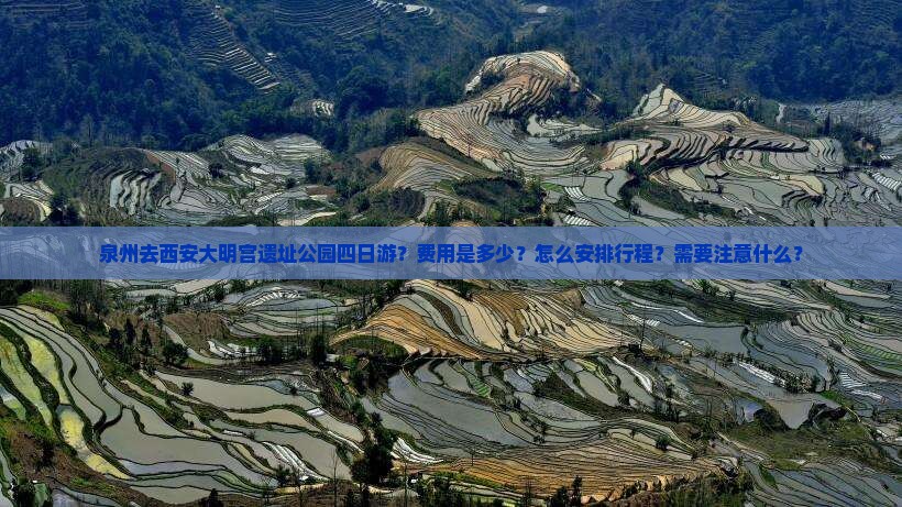 泉州去西安大明宫遗址公园四日游？费用是多少？怎么安排行程？需要注意什么？