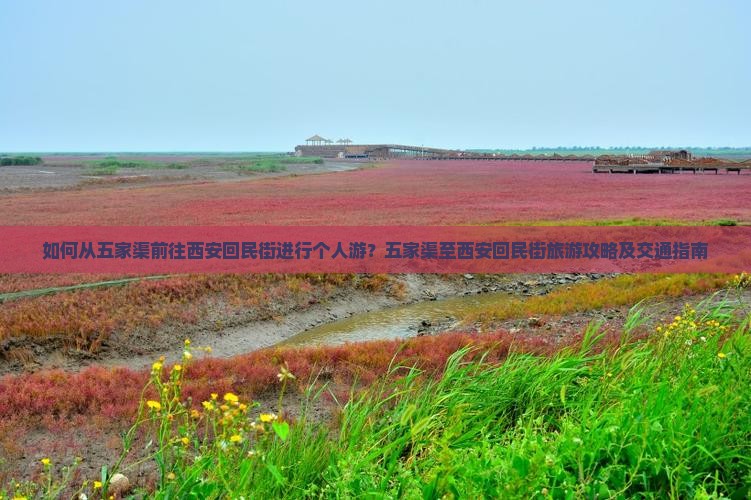 如何从五家渠前往西安回民街进行个人游？五家渠至西安回民街旅游攻略及交通指南