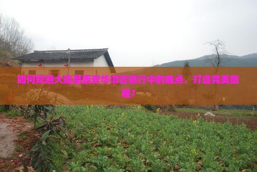 如何规避大连至西安华清宫旅行中的痛点，打造完美旅程？