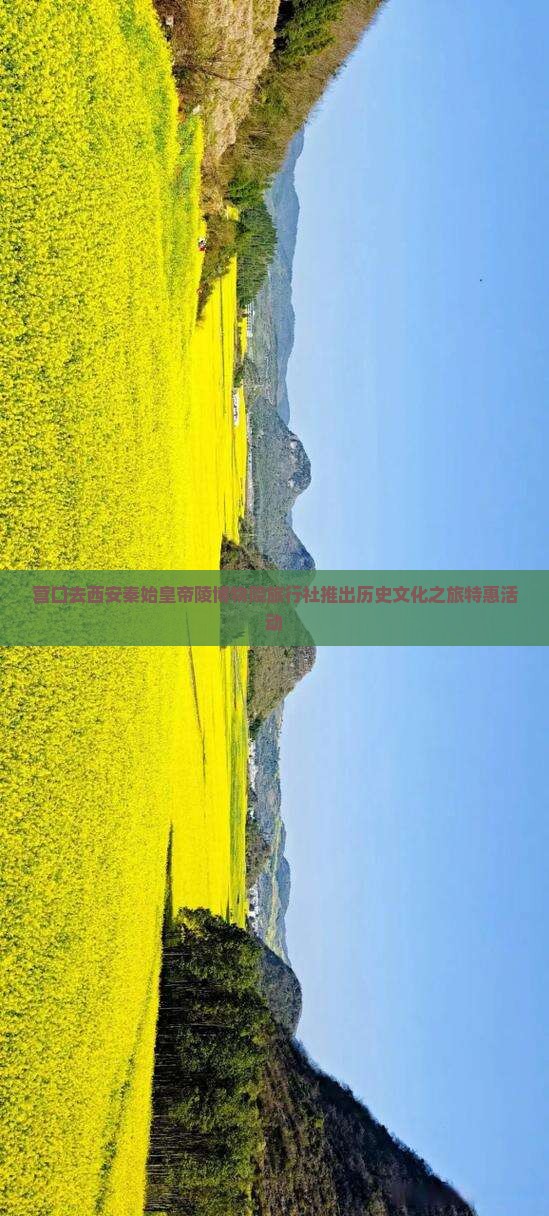 营口去西安秦始皇帝陵博物院旅行社推出历史文化之旅特惠活动