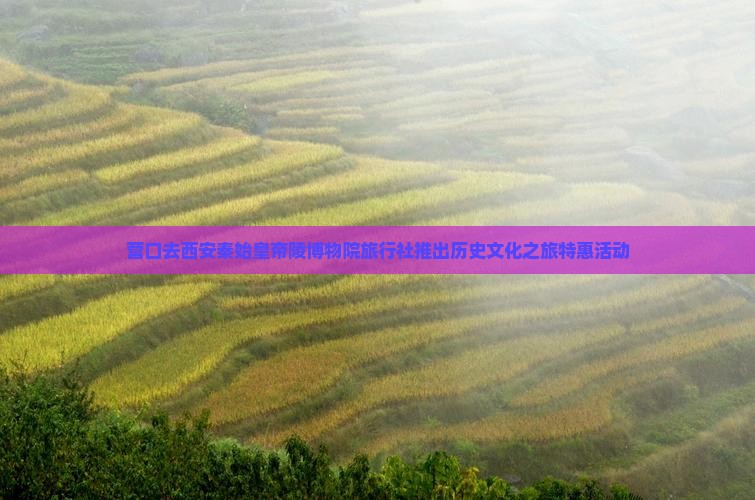 营口去西安秦始皇帝陵博物院旅行社推出历史文化之旅特惠活动