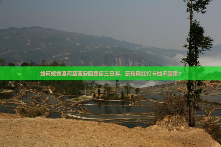 如何规划漯河至西安回民街三日游，玩转网红打卡地不踩雷？