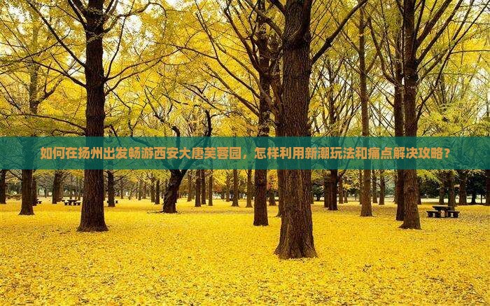 如何在扬州出发畅游西安大唐芙蓉园，怎样利用新潮玩法和痛点解决攻略？