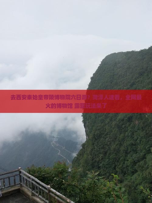 去西安秦始皇帝陵博物院六日游？菏泽人速看，全网最火的博物馆+露营玩法来了