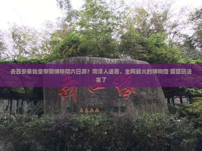 去西安秦始皇帝陵博物院六日游？菏泽人速看，全网最火的博物馆+露营玩法来了