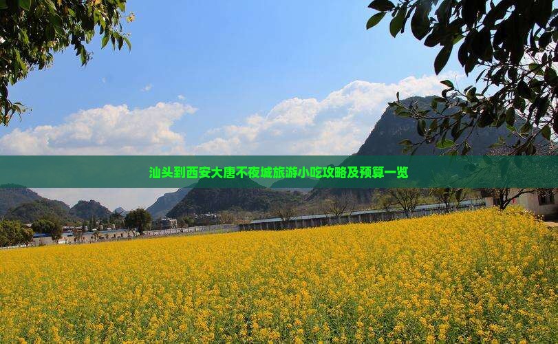 汕头到西安大唐不夜城旅游小吃攻略及预算一览