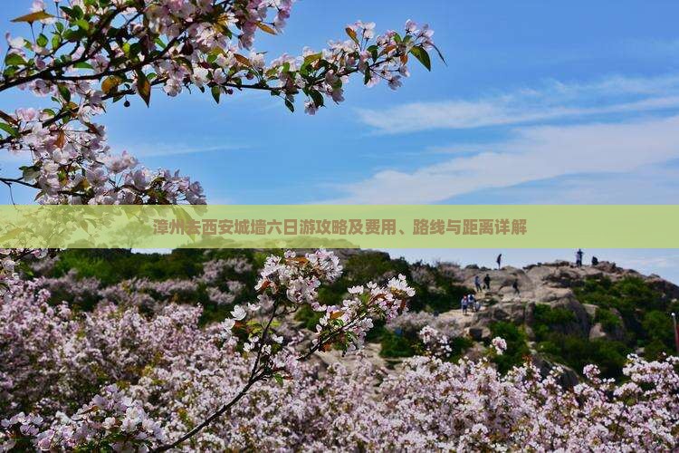 漳州去西安城墙六日游攻略及费用、路线与距离详解