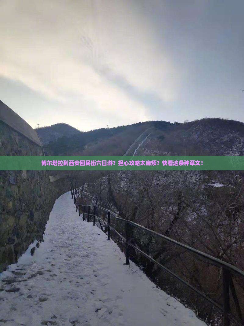 博尔塔拉到西安回民街六日游？担心攻略太麻烦？快看这条种草文！